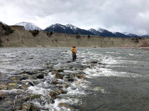 Yellowstone River Montana