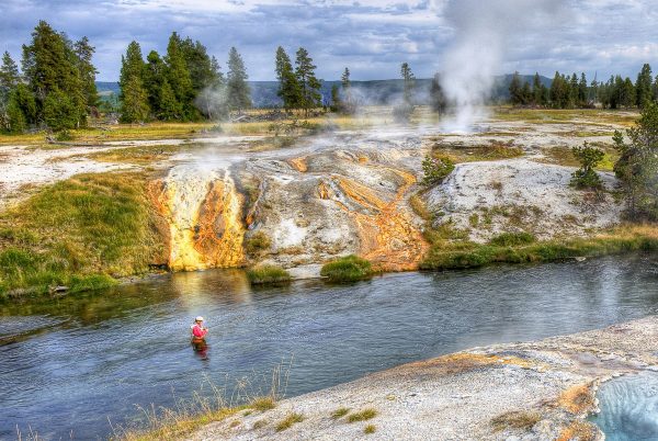 Yellowstone National Park Walk-N-Wade Trip