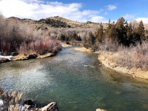 Ruby River Montana