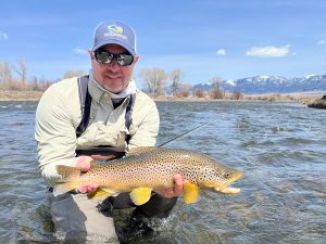 Madison River Brown Trout