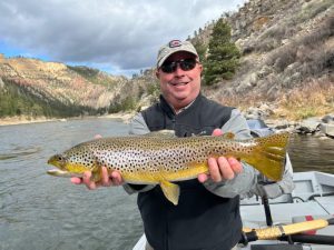 Missouri River Brown Trout