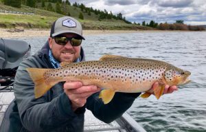 Hebgen Reservoir Brown Trout