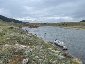 Madison River float/wade trip