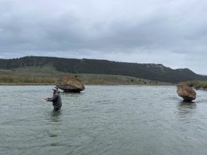 Madison River Wade Trip