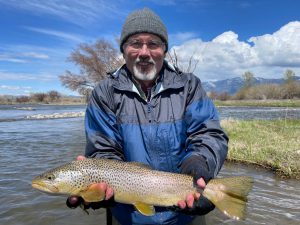 Madison River Brown Trout