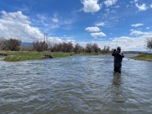 Madison River Montana fly fishing