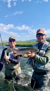 Madison River Rainbow Trout