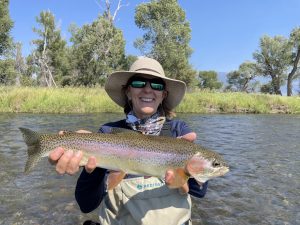 Madison River rainbow trout