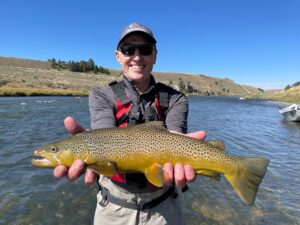 Montana fly fishing madison river brown trout