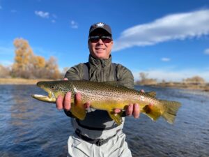 Madison River brown trout Montana