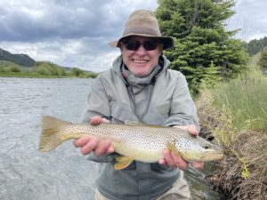 Montana fly fishing Madison River brown trout