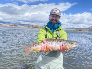 Guided fly fishing on the Madison River