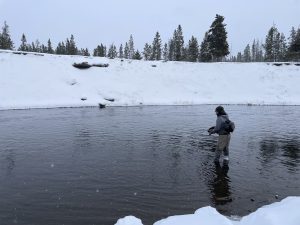 Winter fly fishing on the Madison River in Yellowstone National Park